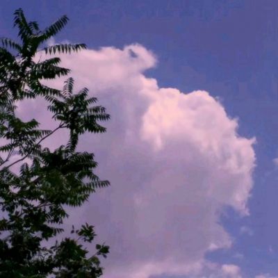 soul land游戏下载